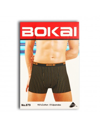 Боксеры мужские "BOKAI" ТМХ-016